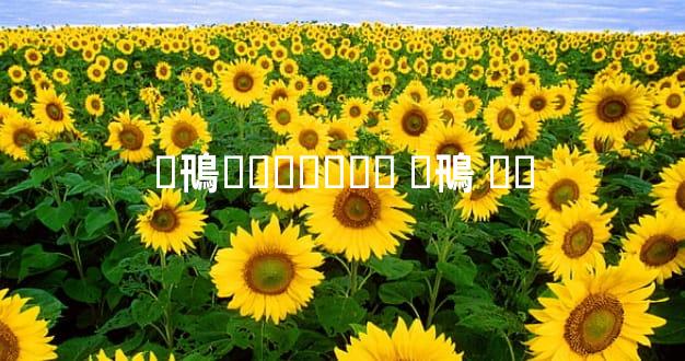 �鳵�⳵���۱� �鳵 �⳵